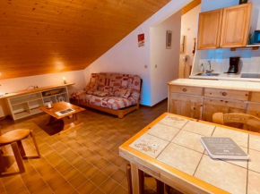 Appartement calme 2 pièces avec balcon et garage, proche des pistes - La Clusaz, Vallée des Aravis - FR-1-459-80